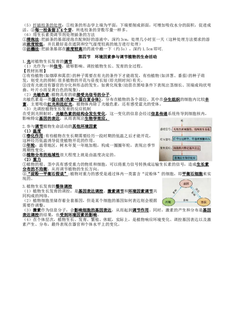 高三生物一轮复习知识点总结：选择性必修1_高中九科知识点归纳。_人教版高中Word电子版试卷练习试题知识点全科_高中生物试卷习题_生物选修_选修1