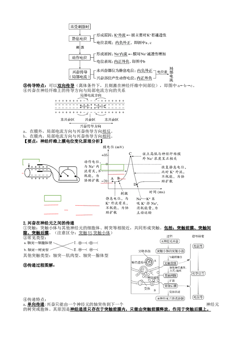 高三生物一轮复习知识点总结：选择性必修1_高中九科知识点归纳。_人教版高中Word电子版试卷练习试题知识点全科_高中生物试卷习题_生物选修_选修1