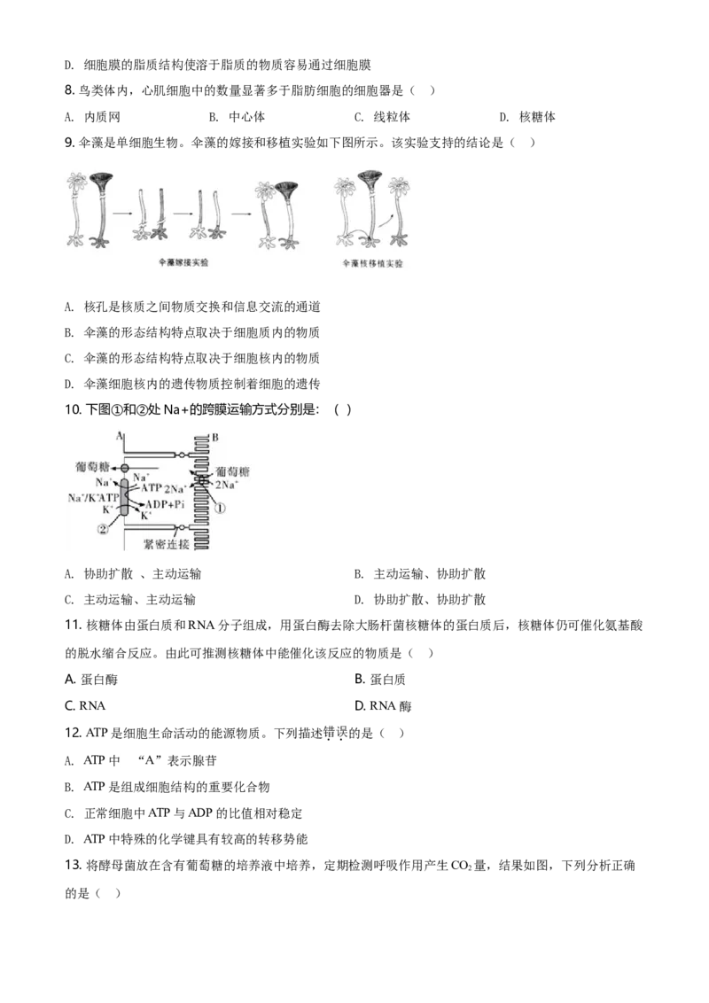 精品解析：北京市平谷区高一上学期期末生物试题（原卷版）_高中九科知识点归纳。_人教版高中Word电子版试卷练习试题知识点全科_高中生物试卷习题_生物必修_必修1_2.各地真题