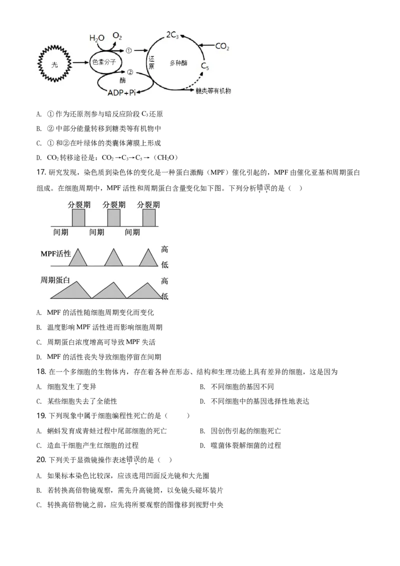 精品解析：北京市平谷区高一上学期期末生物试题（原卷版）_高中九科知识点归纳。_人教版高中Word电子版试卷练习试题知识点全科_高中生物试卷习题_生物必修_必修1_2.各地真题