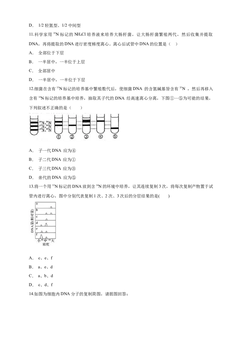 新教材精创3.3DNA的复制练习（1）（原卷版）_高中九科知识点归纳。_人教版高中Word电子版试卷练习试题知识点全科_高中生物试卷习题_生物必修_必修2_1、同步练习