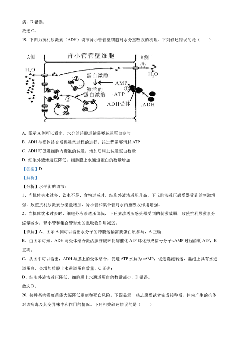 高二上学期期末教学质量监测生物试题（解析版）_高中九科知识点归纳。_人教版高中Word电子版试卷练习试题知识点全科_高中生物试卷习题_生物选修_选修1