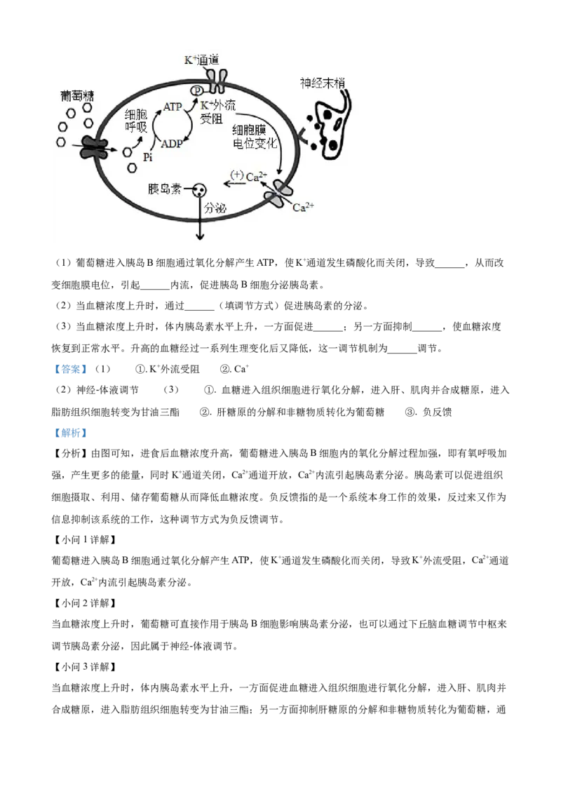 高二上学期期末教学质量监测生物试题（解析版）_高中九科知识点归纳。_人教版高中Word电子版试卷练习试题知识点全科_高中生物试卷习题_生物选修_选修1