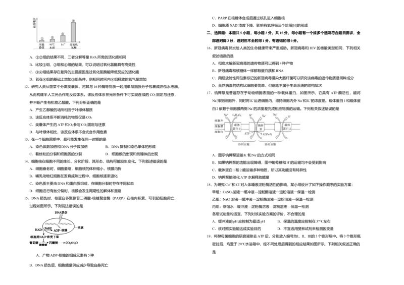 高一期末备考金卷生物（B卷）_高中九科知识点归纳。_人教版高中Word电子版试卷练习试题知识点全科_高中生物试卷习题_生物必修_必修1_人教版生物必修一期末试卷（038份）_1.模拟题
