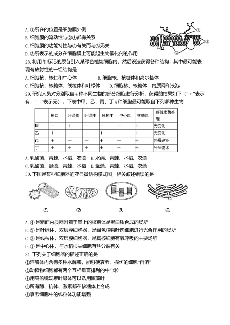 天津市耀华中学高一上学期期中形成性检测生物试题_高中九科知识点归纳。_人教版高中Word电子版试卷练习试题知识点全科_高中生物试卷习题_生物必修_必修1