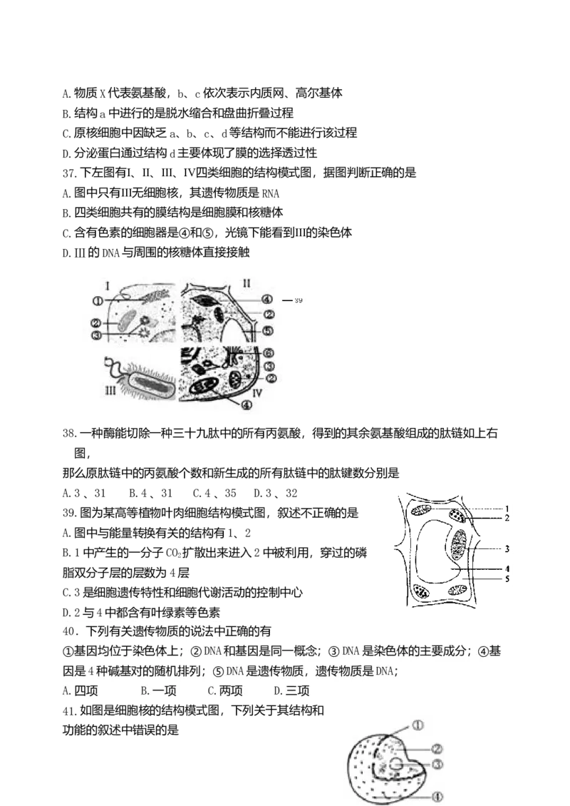 天津市耀华中学高一上学期期中形成性检测生物试题_高中九科知识点归纳。_人教版高中Word电子版试卷练习试题知识点全科_高中生物试卷习题_生物必修_必修1