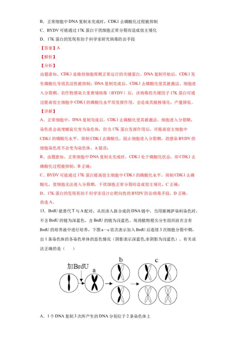 期末冲刺卷3-冲刺期末高一生物下学期期末拔高冲刺卷（2019人教版）（解析版）_高中九科知识点归纳。_人教版高中Word电子版试卷练习试题知识点全科_高中生物试卷习题_生物必修