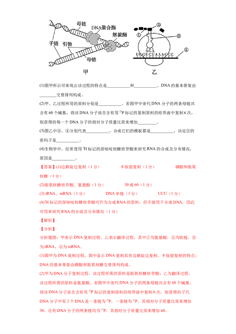 期末冲刺卷3-冲刺期末高一生物下学期期末拔高冲刺卷（2019人教版）（解析版）_高中九科知识点归纳。_人教版高中Word电子版试卷练习试题知识点全科_高中生物试卷习题_生物必修