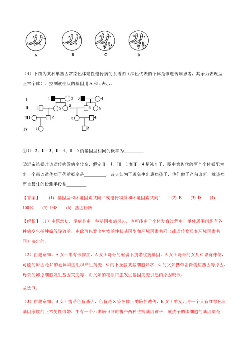 高一生物下学期期末测试卷03（新教材必修二）（解析版）_高中九科知识点归纳。_人教版高中Word电子版试卷练习试题知识点全科_高中生物试卷习题_生物必修_必修2