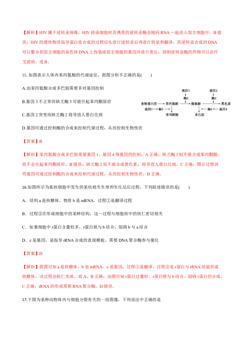 高一生物下学期期末测试卷03（新教材必修二）（解析版）_高中九科知识点归纳。_人教版高中Word电子版试卷练习试题知识点全科_高中生物试卷习题_生物必修_必修2