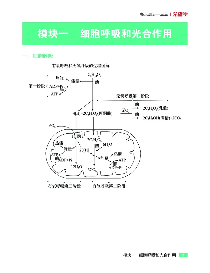 学而思-希望学-高中生物知识手册_高中九科知识点归纳。_《高中知识点汇编》
