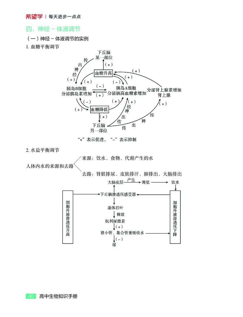学而思-希望学-高中生物知识手册_高中九科知识点归纳。_《高中知识点汇编》