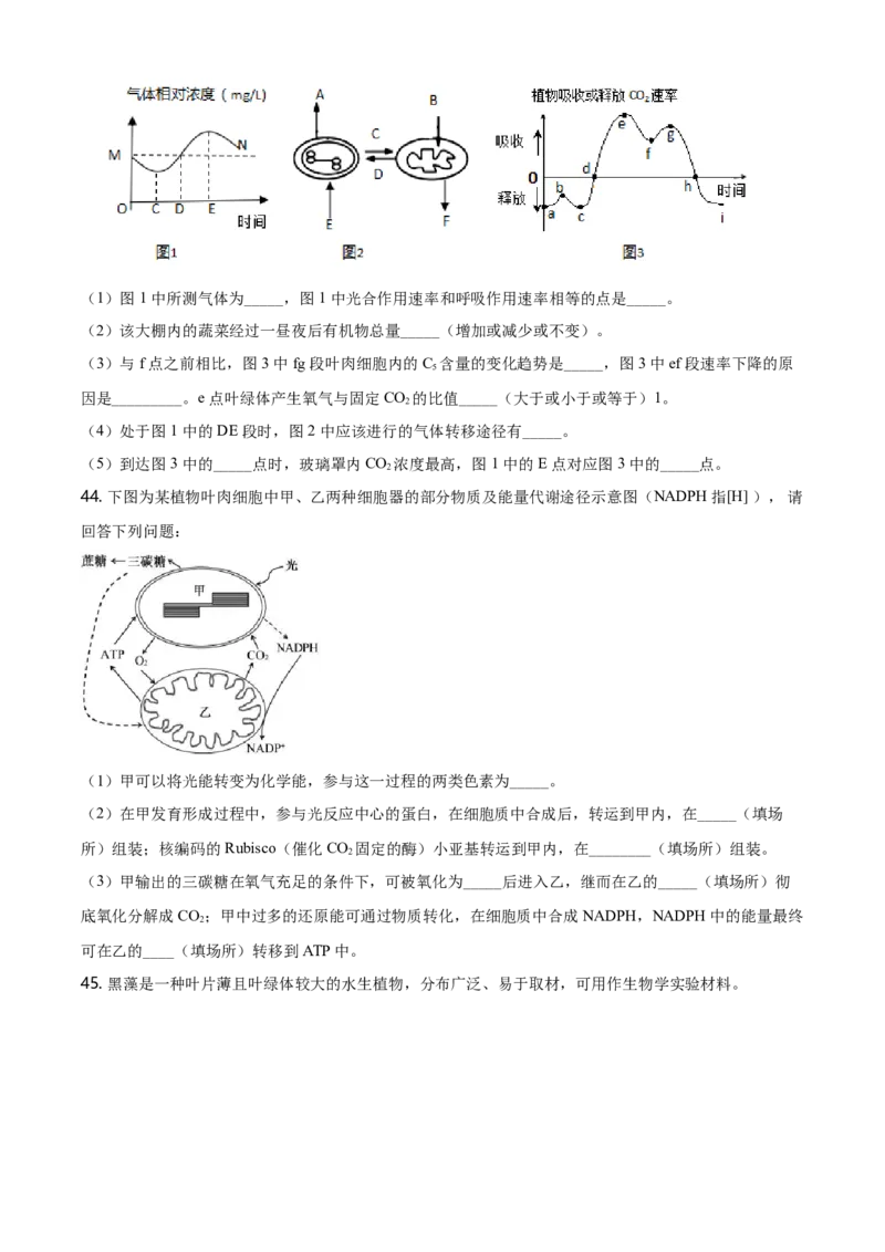 精品解析：江苏省南京市南京师大附中高一上学期期末生物试题（原卷版）_高中九科知识点归纳。_人教版高中Word电子版试卷练习试题知识点全科_高中生物试卷习题_生物必修_必修1