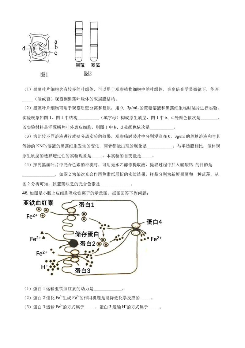 精品解析：江苏省南京市南京师大附中高一上学期期末生物试题（原卷版）_高中九科知识点归纳。_人教版高中Word电子版试卷练习试题知识点全科_高中生物试卷习题_生物必修_必修1