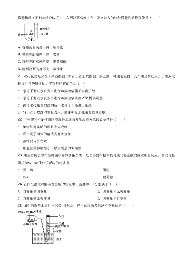 精品解析：江苏省南京市南京师大附中高一上学期期末生物试题（原卷版）_高中九科知识点归纳。_人教版高中Word电子版试卷练习试题知识点全科_高中生物试卷习题_生物必修_必修1