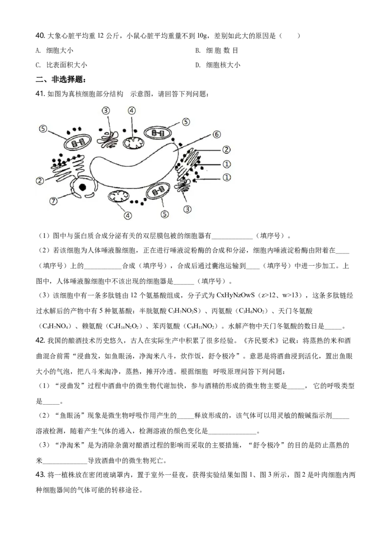 精品解析：江苏省南京市南京师大附中高一上学期期末生物试题（原卷版）_高中九科知识点归纳。_人教版高中Word电子版试卷练习试题知识点全科_高中生物试卷习题_生物必修_必修1