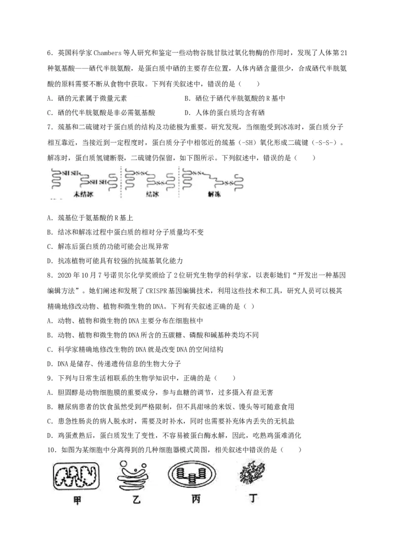 高一生物上学期期末测试卷02（人教版必修1）（原卷版）_高中九科知识点归纳。_人教版高中Word电子版试卷练习试题知识点全科_高中生物试卷习题_生物必修_必修1_1.模拟题