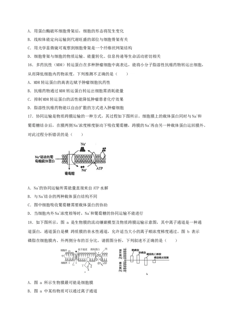 高一生物上学期期末测试卷02（人教版必修1）（原卷版）_高中九科知识点归纳。_人教版高中Word电子版试卷练习试题知识点全科_高中生物试卷习题_生物必修_必修1_1.模拟题