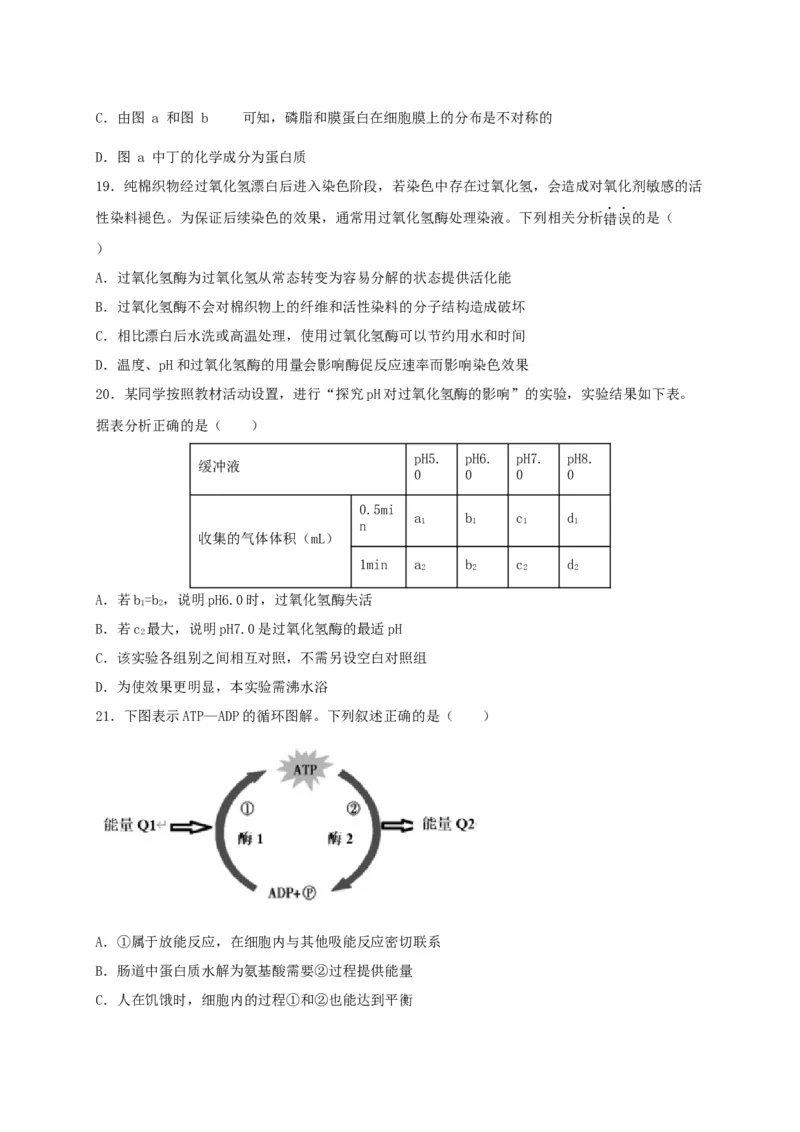高一生物上学期期末测试卷02（人教版必修1）（原卷版）_高中九科知识点归纳。_人教版高中Word电子版试卷练习试题知识点全科_高中生物试卷习题_生物必修_必修1_1.模拟题