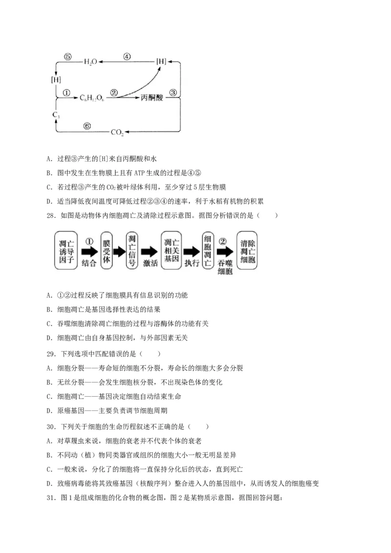 高一生物上学期期末测试卷02（人教版必修1）（原卷版）_高中九科知识点归纳。_人教版高中Word电子版试卷练习试题知识点全科_高中生物试卷习题_生物必修_必修1_1.模拟题