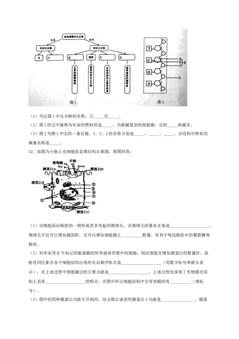 高一生物上学期期末测试卷02（人教版必修1）（原卷版）_高中九科知识点归纳。_人教版高中Word电子版试卷练习试题知识点全科_高中生物试卷习题_生物必修_必修1_1.模拟题
