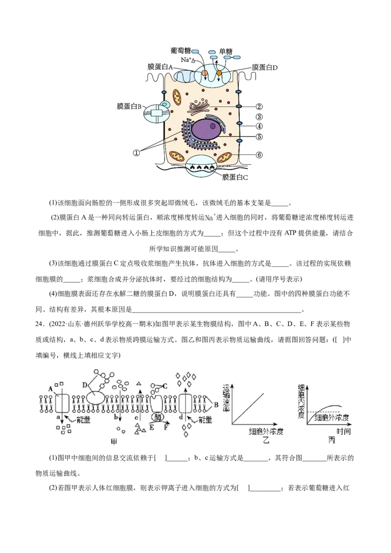 第4章细胞的物质输入和输出（A卷&middot;知识通关练）（原卷版）_高中九科知识点归纳。_人教版高中Word电子版试卷练习试题知识点全科_高中生物试卷习题_生物必修_必修1