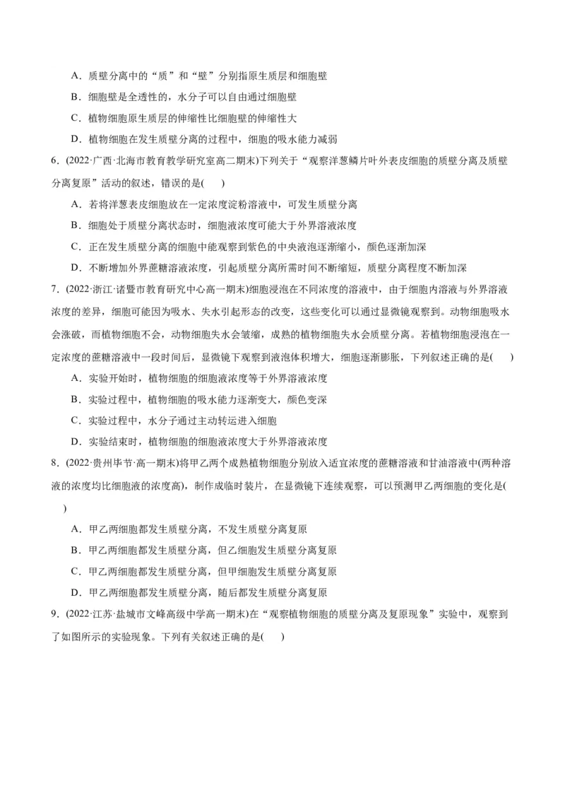 第4章细胞的物质输入和输出（A卷&middot;知识通关练）（原卷版）_高中九科知识点归纳。_人教版高中Word电子版试卷练习试题知识点全科_高中生物试卷习题_生物必修_必修1