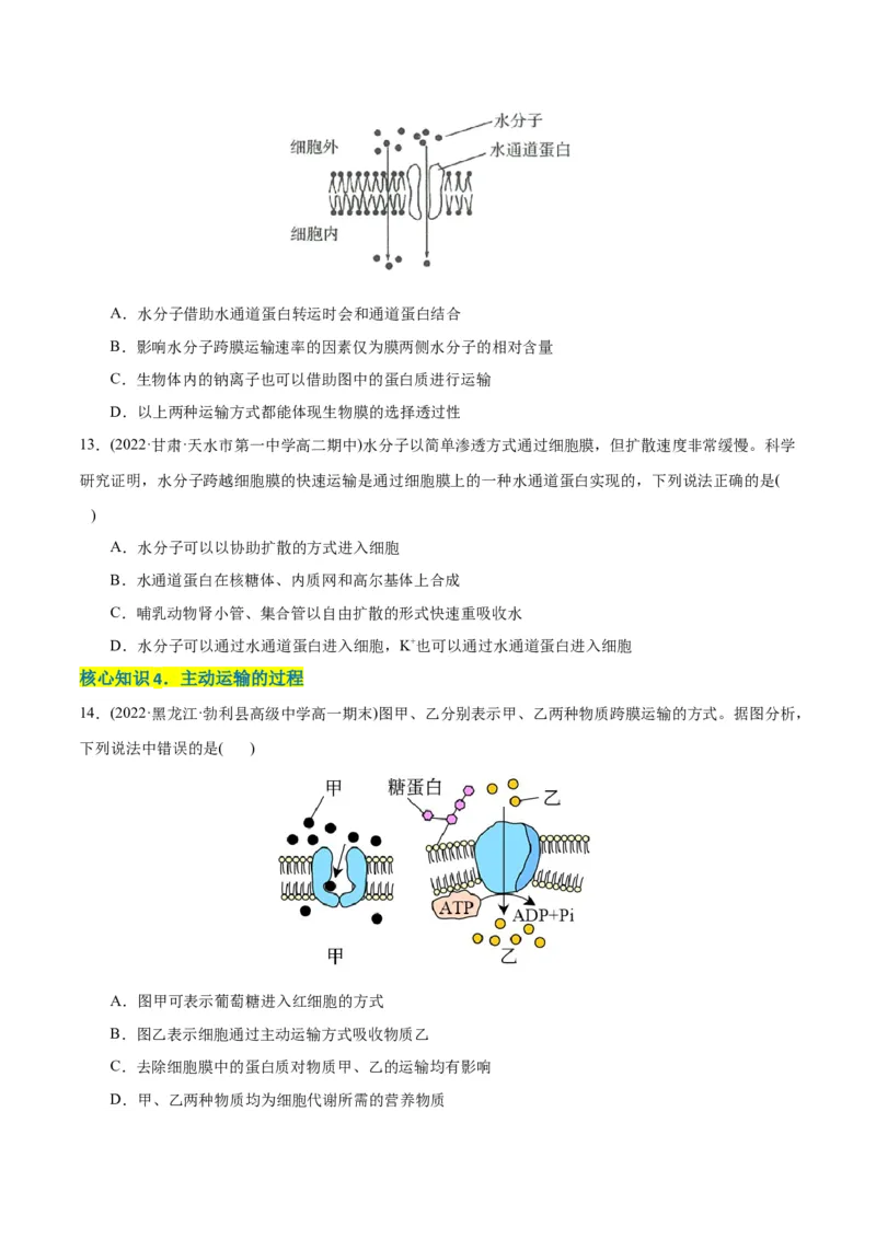 第4章细胞的物质输入和输出（A卷&middot;知识通关练）（原卷版）_高中九科知识点归纳。_人教版高中Word电子版试卷练习试题知识点全科_高中生物试卷习题_生物必修_必修1