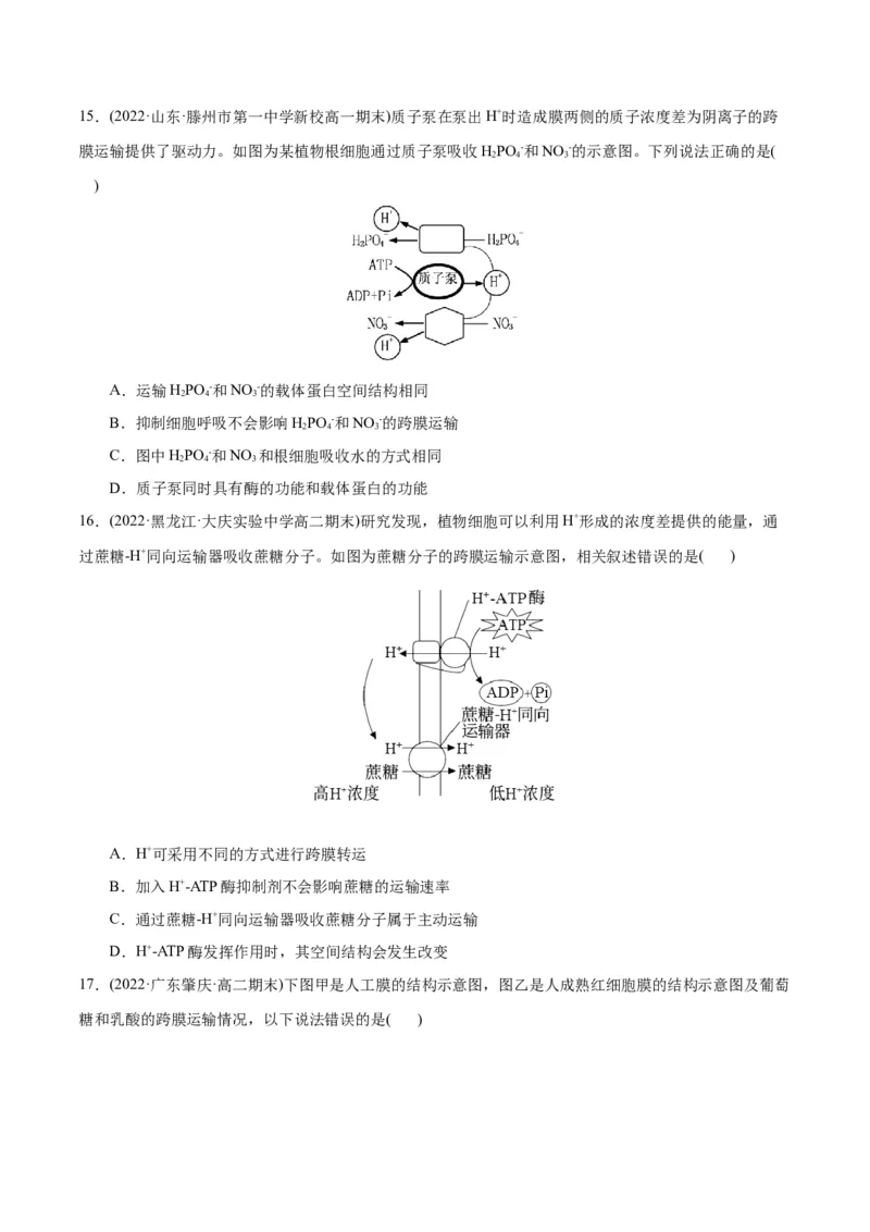 第4章细胞的物质输入和输出（A卷&middot;知识通关练）（原卷版）_高中九科知识点归纳。_人教版高中Word电子版试卷练习试题知识点全科_高中生物试卷习题_生物必修_必修1