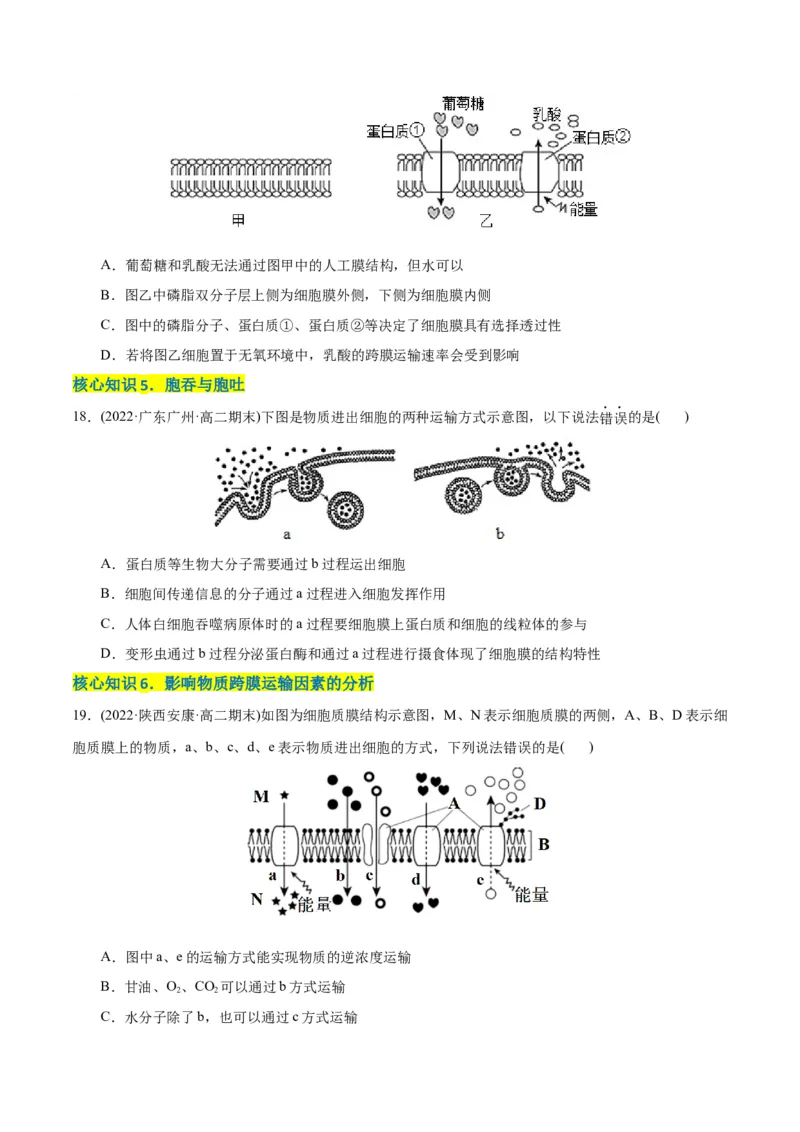 第4章细胞的物质输入和输出（A卷&middot;知识通关练）（原卷版）_高中九科知识点归纳。_人教版高中Word电子版试卷练习试题知识点全科_高中生物试卷习题_生物必修_必修1