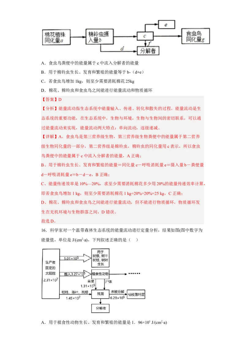 第三章生态系统及其稳定性-高二生物章末测试必刷卷（人教版2019选择性必修2）（解析版）_高中九科知识点归纳。_人教版高中Word电子版试卷练习试题知识点全科_高中生物试卷习题_选修2