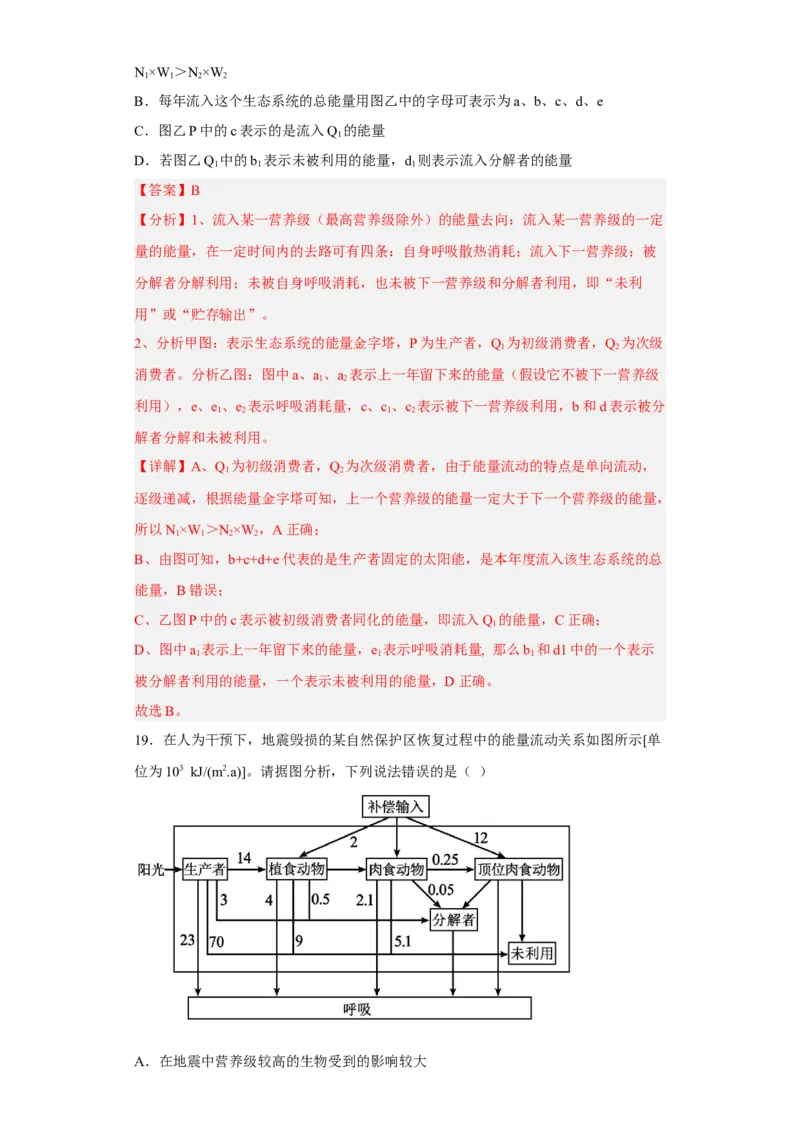 第三章生态系统及其稳定性-高二生物章末测试必刷卷（人教版2019选择性必修2）（解析版）_高中九科知识点归纳。_人教版高中Word电子版试卷练习试题知识点全科_高中生物试卷习题_选修2
