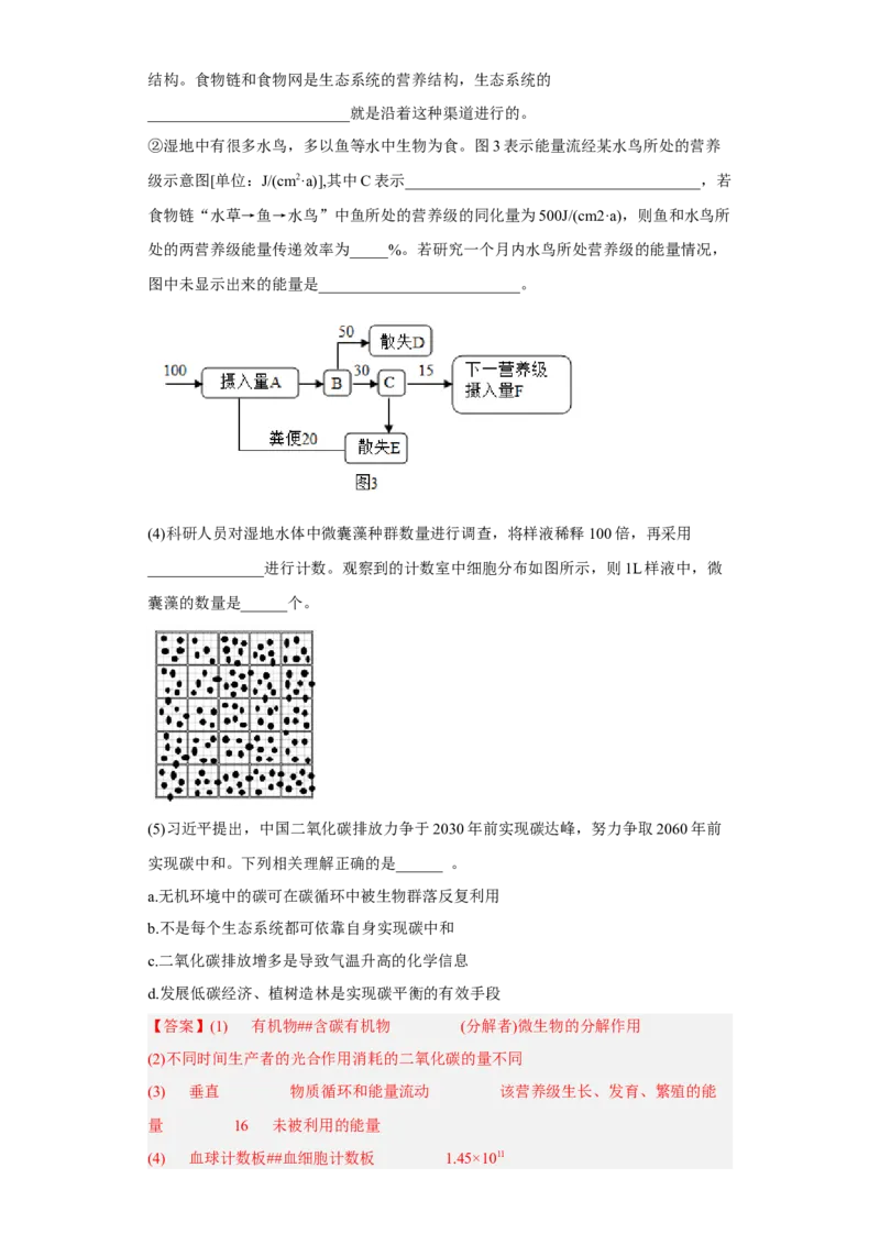 第三章生态系统及其稳定性-高二生物章末测试必刷卷（人教版2019选择性必修2）（解析版）_高中九科知识点归纳。_人教版高中Word电子版试卷练习试题知识点全科_高中生物试卷习题_选修2