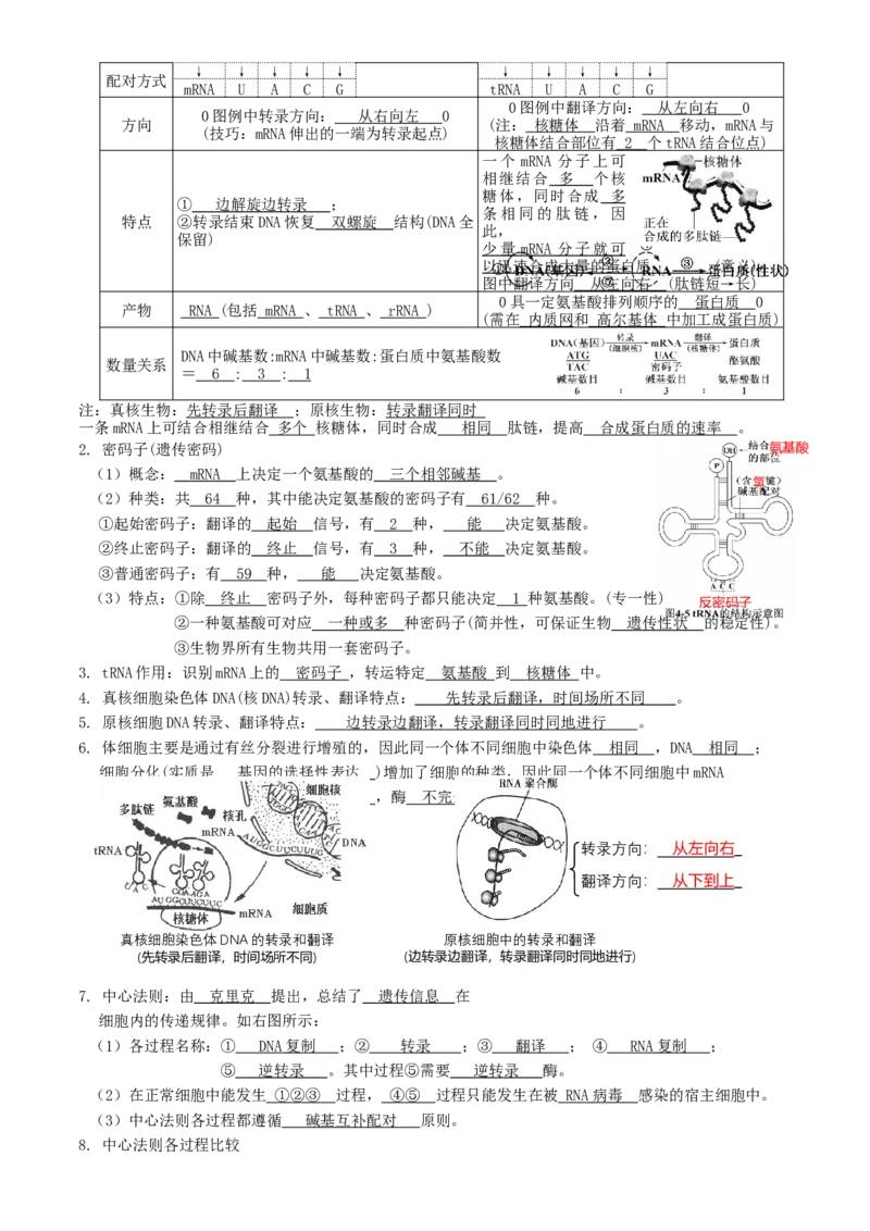 高一生物春学期知识点总结高一下学期生物人教版必修2_高中九科知识点归纳。_人教版高中Word电子版试卷练习试题知识点全科_高中生物试卷习题_生物必修_必修2