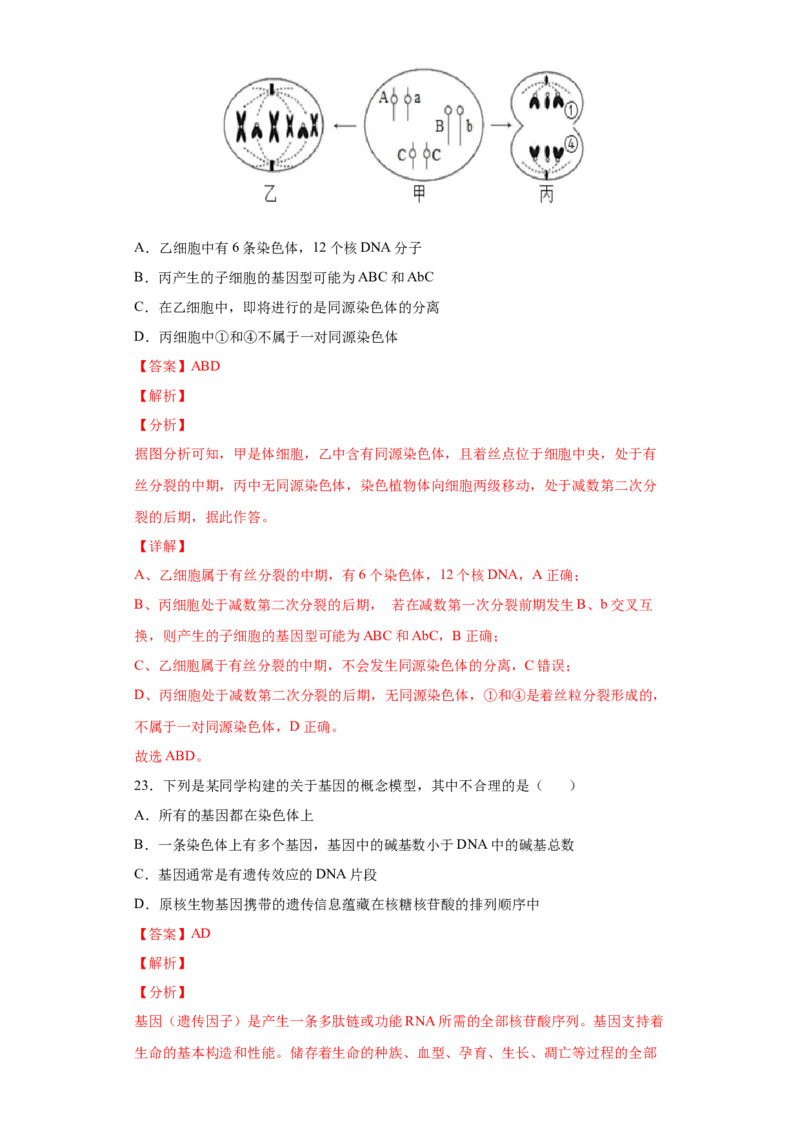 期末冲刺卷1-冲刺期末高一生物下学期期末拔高冲刺卷（2019人教版）（解析版）_高中九科知识点归纳。_人教版高中Word电子版试卷练习试题知识点全科_高中生物试卷习题_生物必修