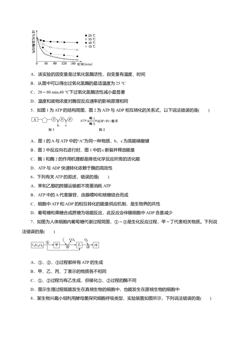 第5章细胞的能量供应和利用B卷（原卷版）_高中九科知识点归纳。_人教版高中Word电子版试卷练习试题知识点全科_高中生物试卷习题_生物必修_必修1_3.单元测试（第三套）