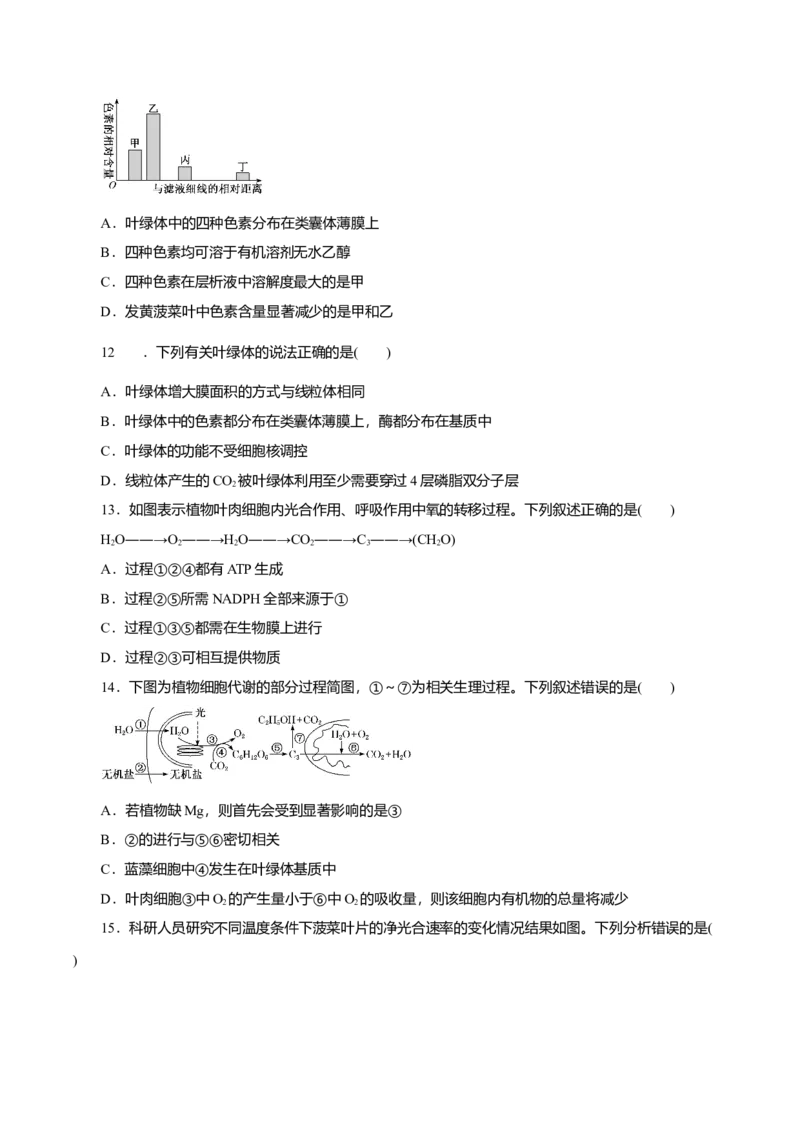 第5章细胞的能量供应和利用B卷（原卷版）_高中九科知识点归纳。_人教版高中Word电子版试卷练习试题知识点全科_高中生物试卷习题_生物必修_必修1_3.单元测试（第三套）