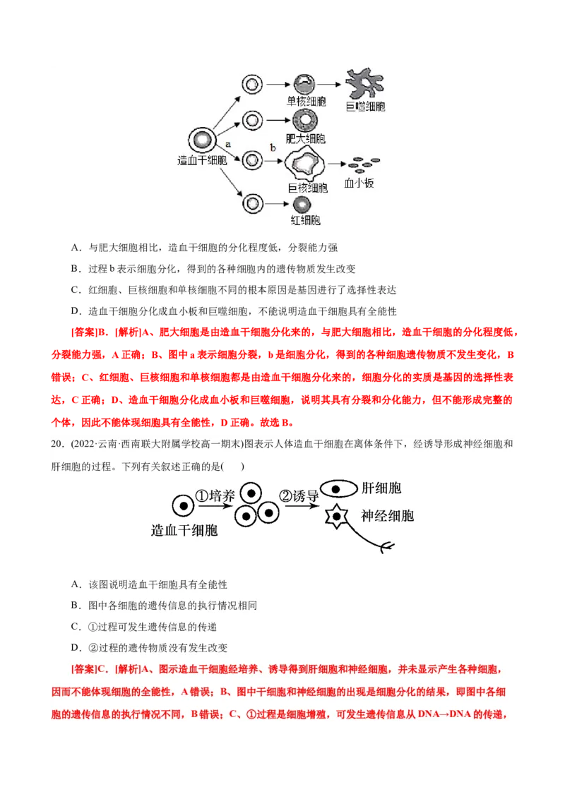 第6章细胞的生命历程（B卷&middot;能力提升练）（解析版）_高中九科知识点归纳。_人教版高中Word电子版试卷练习试题知识点全科_高中生物试卷习题_生物必修_必修1_1.单元测试AB卷（第一套）