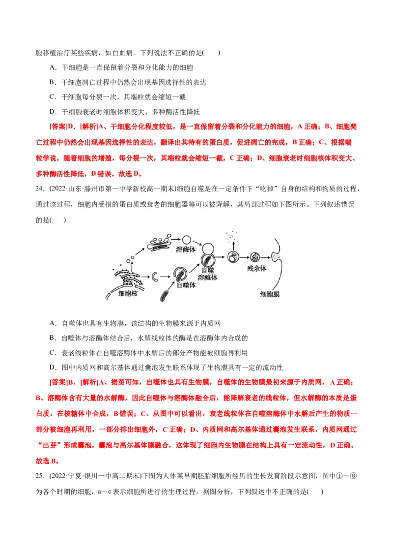 第6章细胞的生命历程（B卷&middot;能力提升练）（解析版）_高中九科知识点归纳。_人教版高中Word电子版试卷练习试题知识点全科_高中生物试卷习题_生物必修_必修1_1.单元测试AB卷（第一套）
