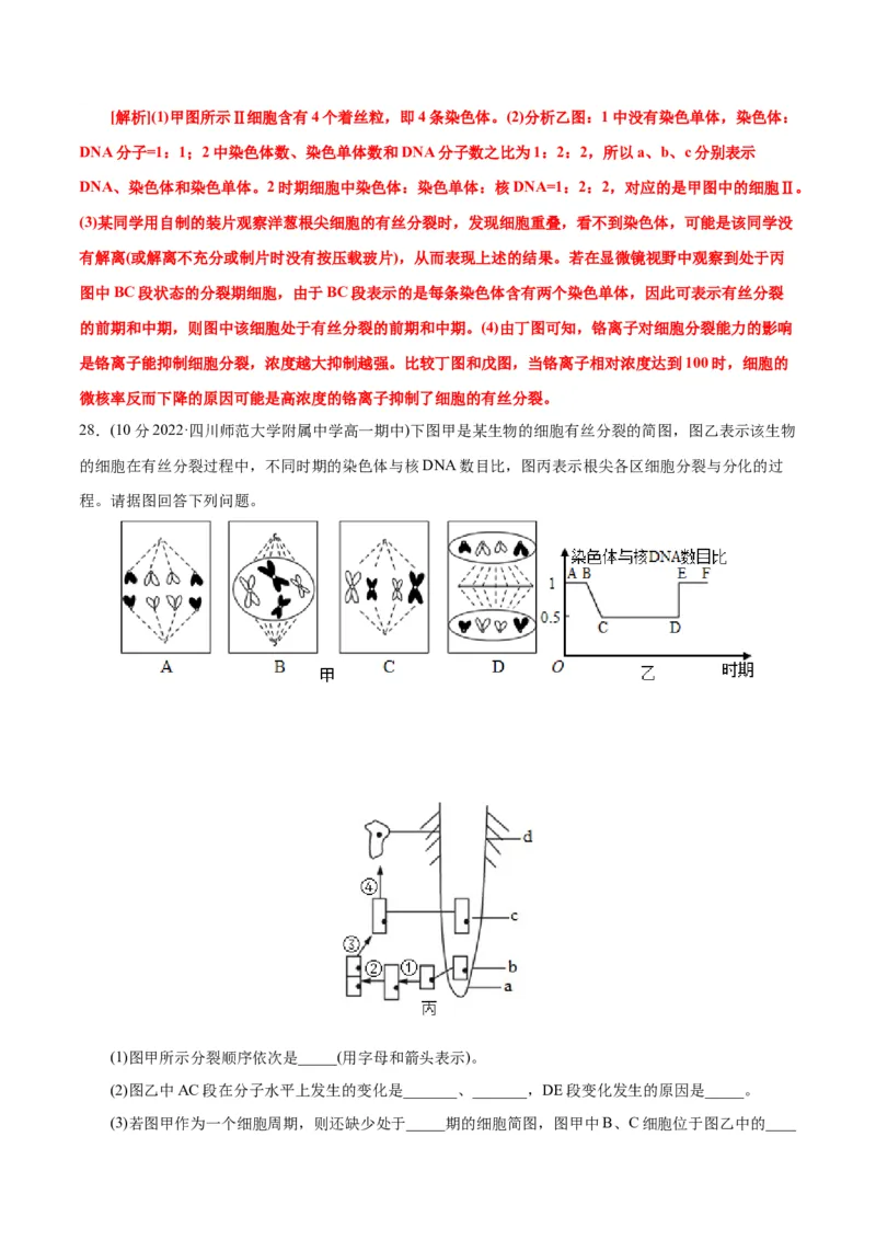 第6章细胞的生命历程（B卷&middot;能力提升练）（解析版）_高中九科知识点归纳。_人教版高中Word电子版试卷练习试题知识点全科_高中生物试卷习题_生物必修_必修1_1.单元测试AB卷（第一套）