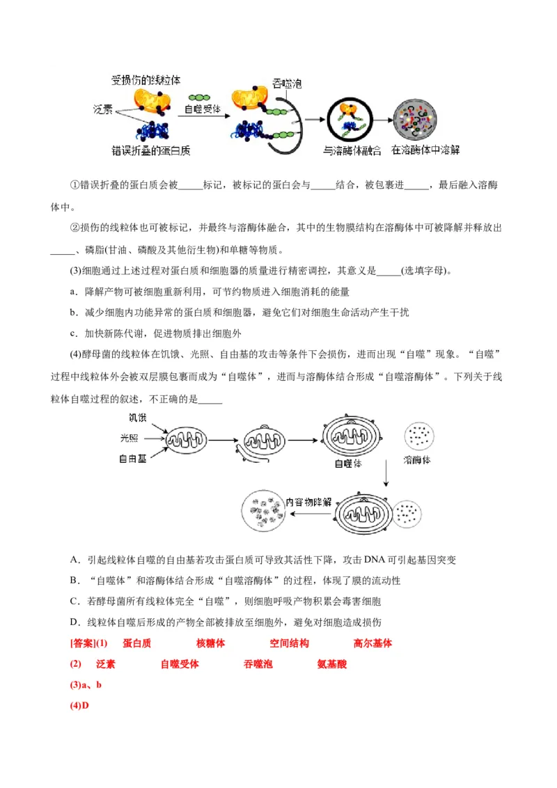 第6章细胞的生命历程（B卷&middot;能力提升练）（解析版）_高中九科知识点归纳。_人教版高中Word电子版试卷练习试题知识点全科_高中生物试卷习题_生物必修_必修1_1.单元测试AB卷（第一套）