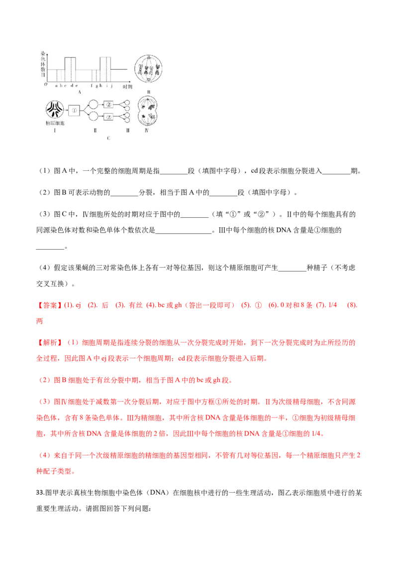 高一生物下学期期末测试卷02（新教材必修二）（解析版）_高中九科知识点归纳。_人教版高中Word电子版试卷练习试题知识点全科_高中生物试卷习题_生物必修_必修2