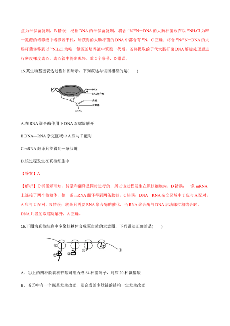 高一生物下学期期末测试卷02（新教材必修二）（解析版）_高中九科知识点归纳。_人教版高中Word电子版试卷练习试题知识点全科_高中生物试卷习题_生物必修_必修2