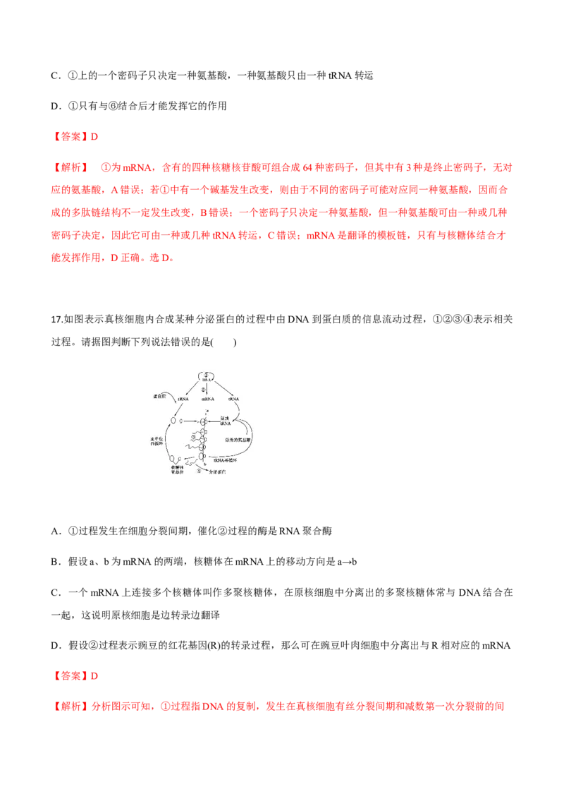 高一生物下学期期末测试卷02（新教材必修二）（解析版）_高中九科知识点归纳。_人教版高中Word电子版试卷练习试题知识点全科_高中生物试卷习题_生物必修_必修2