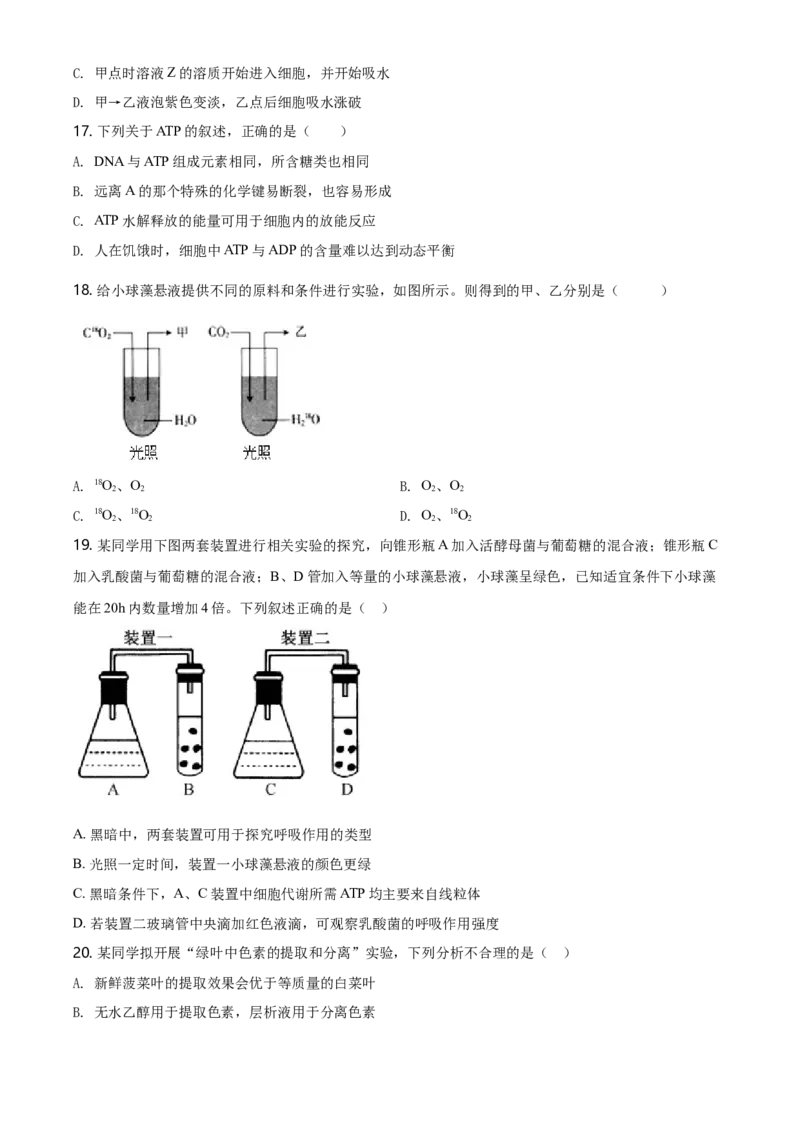 精品解析：黑龙江省齐齐哈尔市高一上学期期末考试生物试题（原卷版）_高中九科知识点归纳。_人教版高中Word电子版试卷练习试题知识点全科_高中生物试卷习题_生物必修_必修1