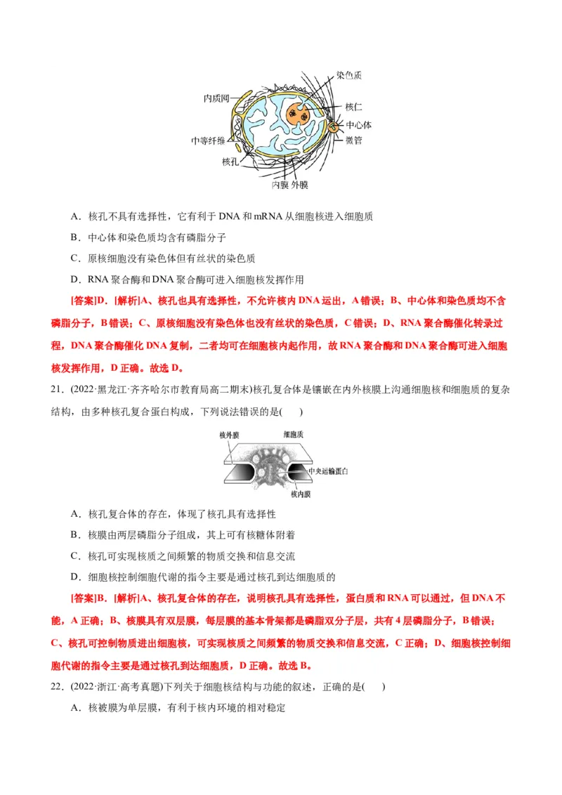 第3章细胞的基本结构（B卷&middot;能力提升练）（解析版）_高中九科知识点归纳。_人教版高中Word电子版试卷练习试题知识点全科_高中生物试卷习题_生物必修_必修1_1.单元测试AB卷（第一套）