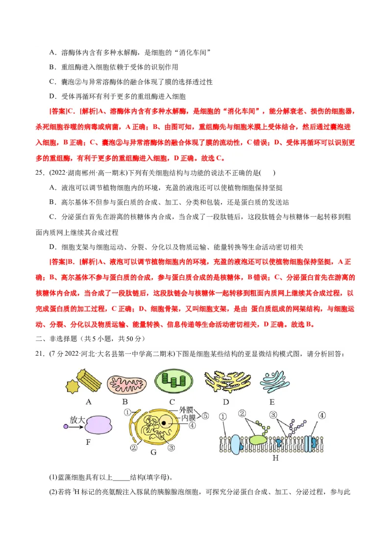 第3章细胞的基本结构（B卷&middot;能力提升练）（解析版）_高中九科知识点归纳。_人教版高中Word电子版试卷练习试题知识点全科_高中生物试卷习题_生物必修_必修1_1.单元测试AB卷（第一套）