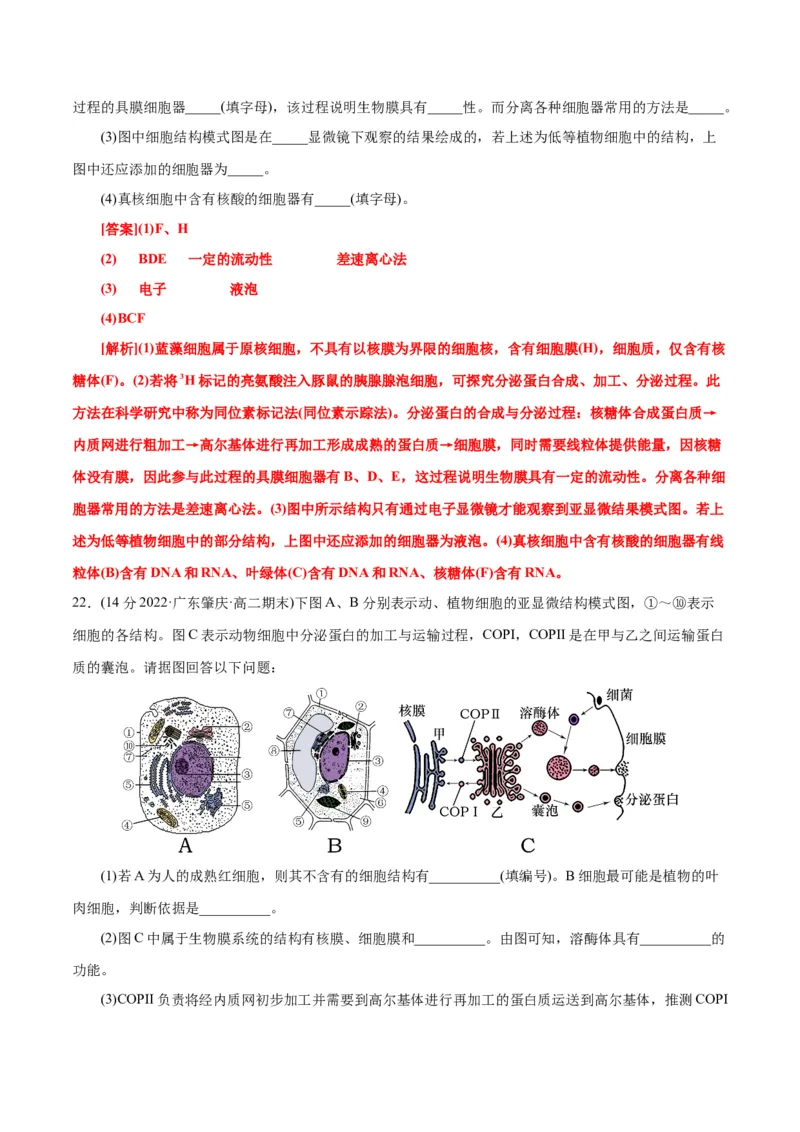 第3章细胞的基本结构（B卷&middot;能力提升练）（解析版）_高中九科知识点归纳。_人教版高中Word电子版试卷练习试题知识点全科_高中生物试卷习题_生物必修_必修1_1.单元测试AB卷（第一套）