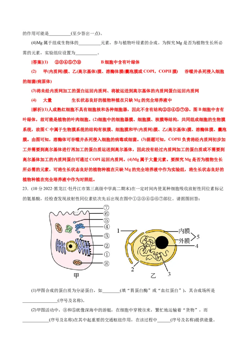 第3章细胞的基本结构（B卷&middot;能力提升练）（解析版）_高中九科知识点归纳。_人教版高中Word电子版试卷练习试题知识点全科_高中生物试卷习题_生物必修_必修1_1.单元测试AB卷（第一套）