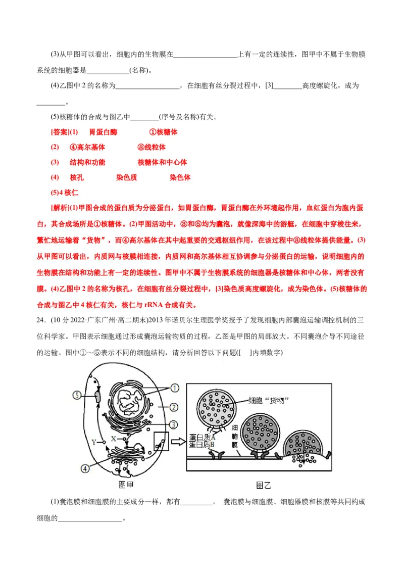 第3章细胞的基本结构（B卷&middot;能力提升练）（解析版）_高中九科知识点归纳。_人教版高中Word电子版试卷练习试题知识点全科_高中生物试卷习题_生物必修_必修1_1.单元测试AB卷（第一套）